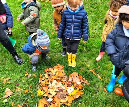 Les oeuvres d'automne chez les PSMS1